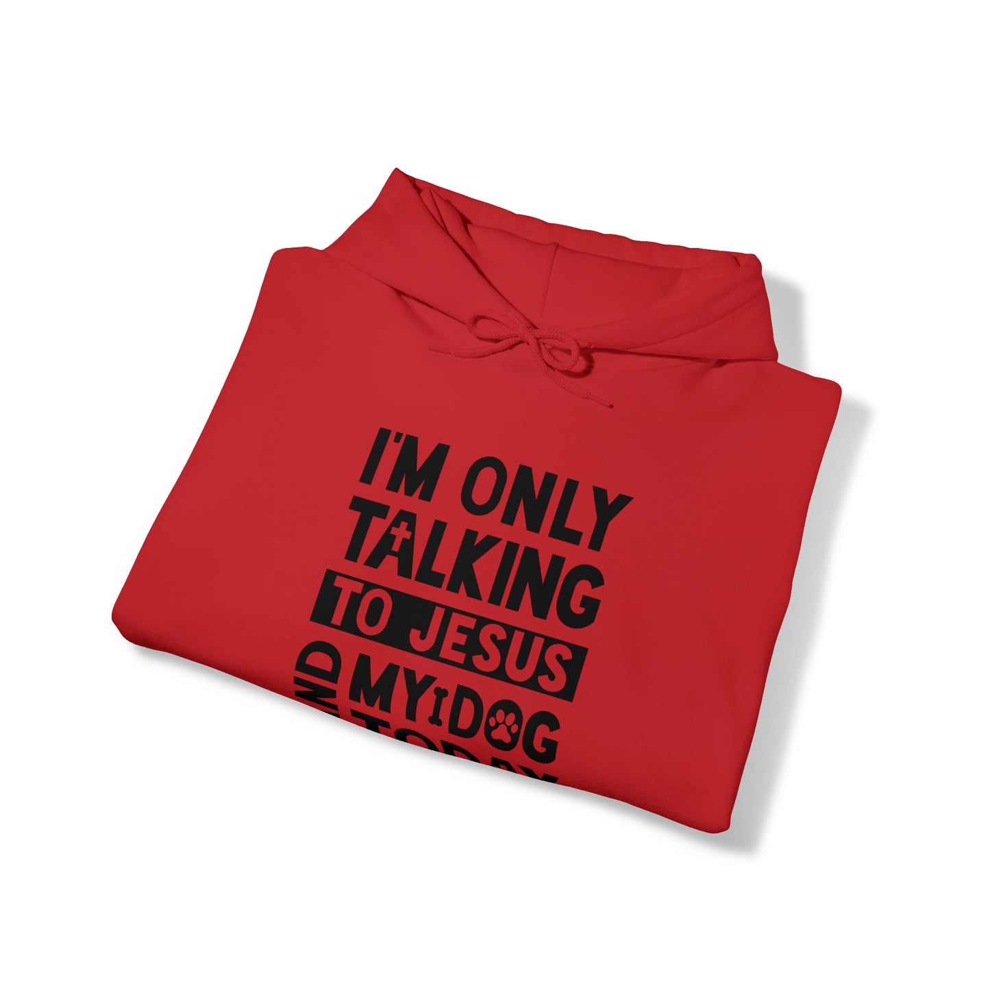 I'm Only Talking To Jesus And My Dog Today Hooded Sweatshirt