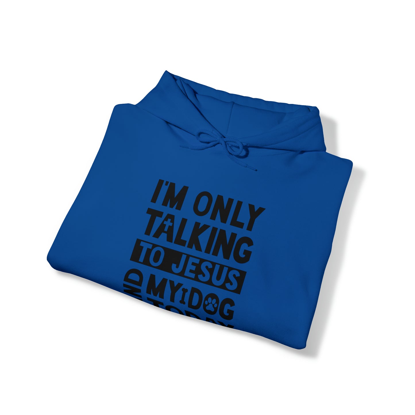 I'm Only Talking To Jesus And My Dog Today Hooded Sweatshirt