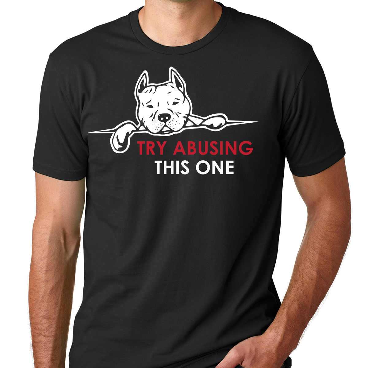 Try Abusing This Pit bull