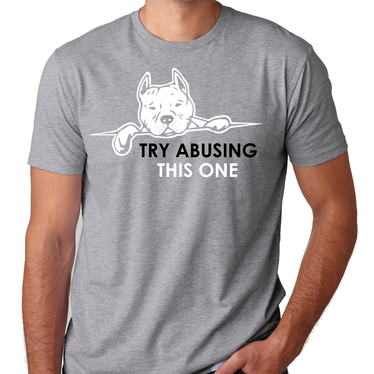 Try Abusing This Pit bull