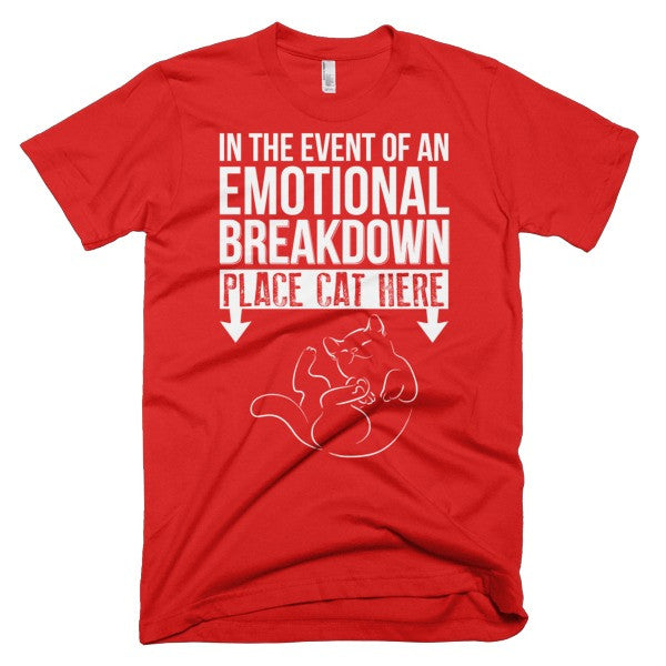 In The Event Of An Emotional Breakdown