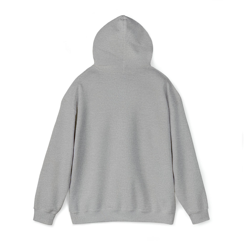 You're For Party I'm For Country Hoodie