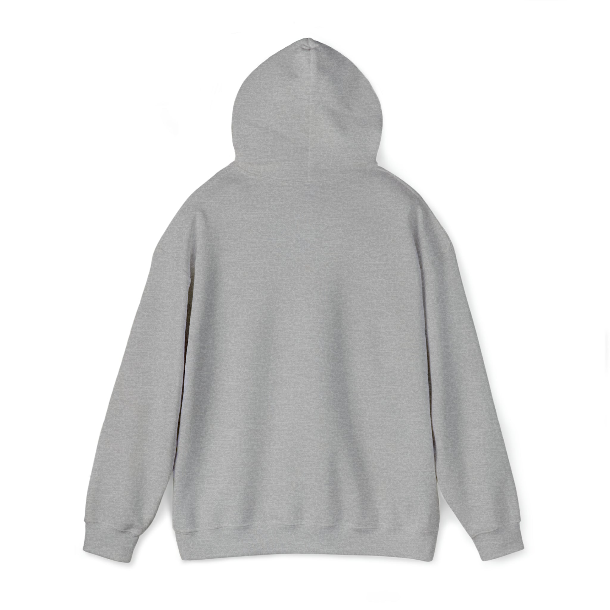 You're For Party I'm For Country Hoodie