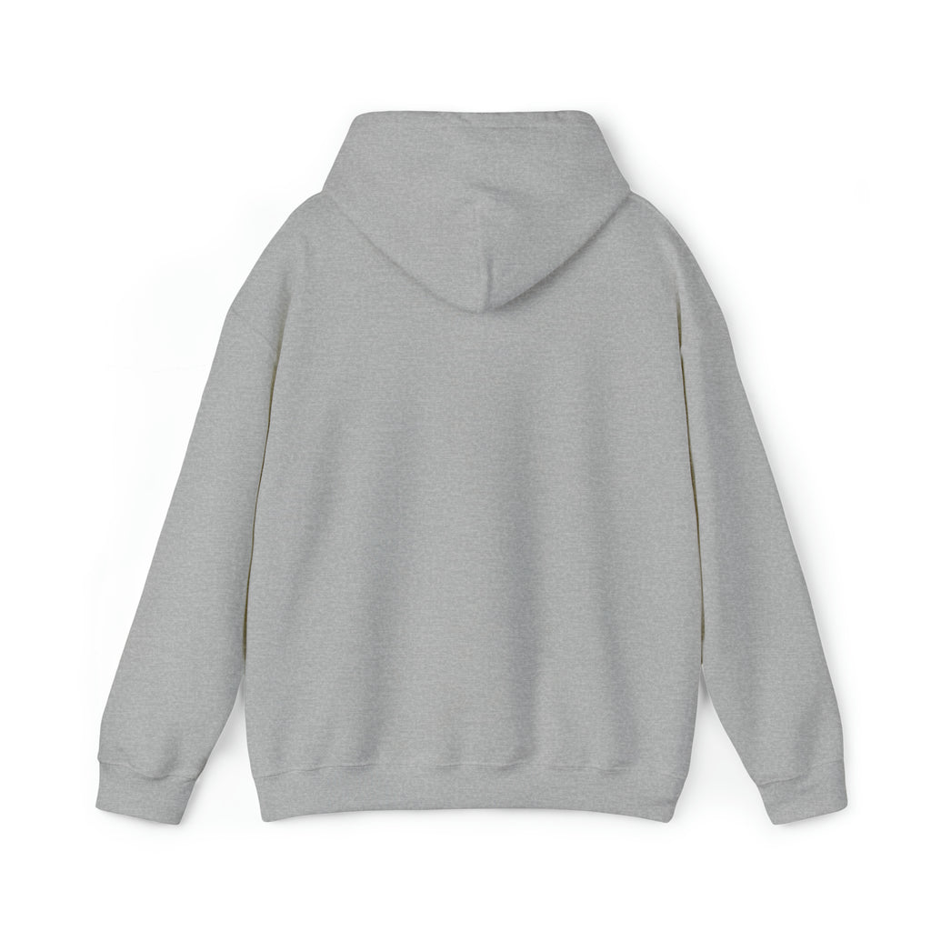 You're For Party I'm For Country Hoodie