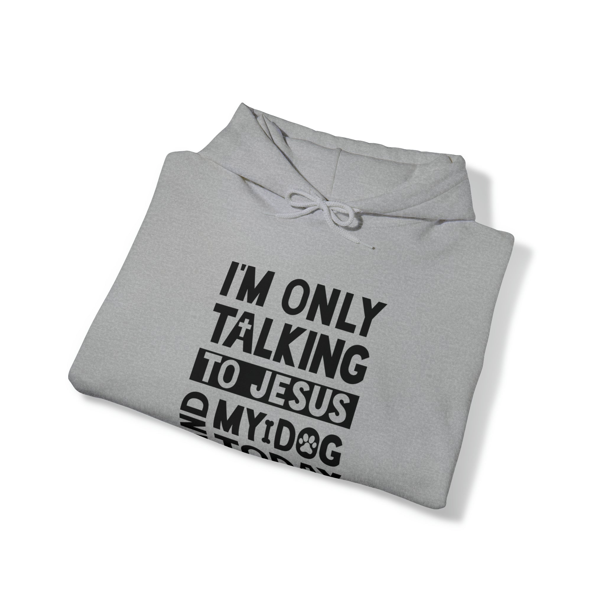 I'm Only Talking To Jesus And My Dog Today Hooded Sweatshirt