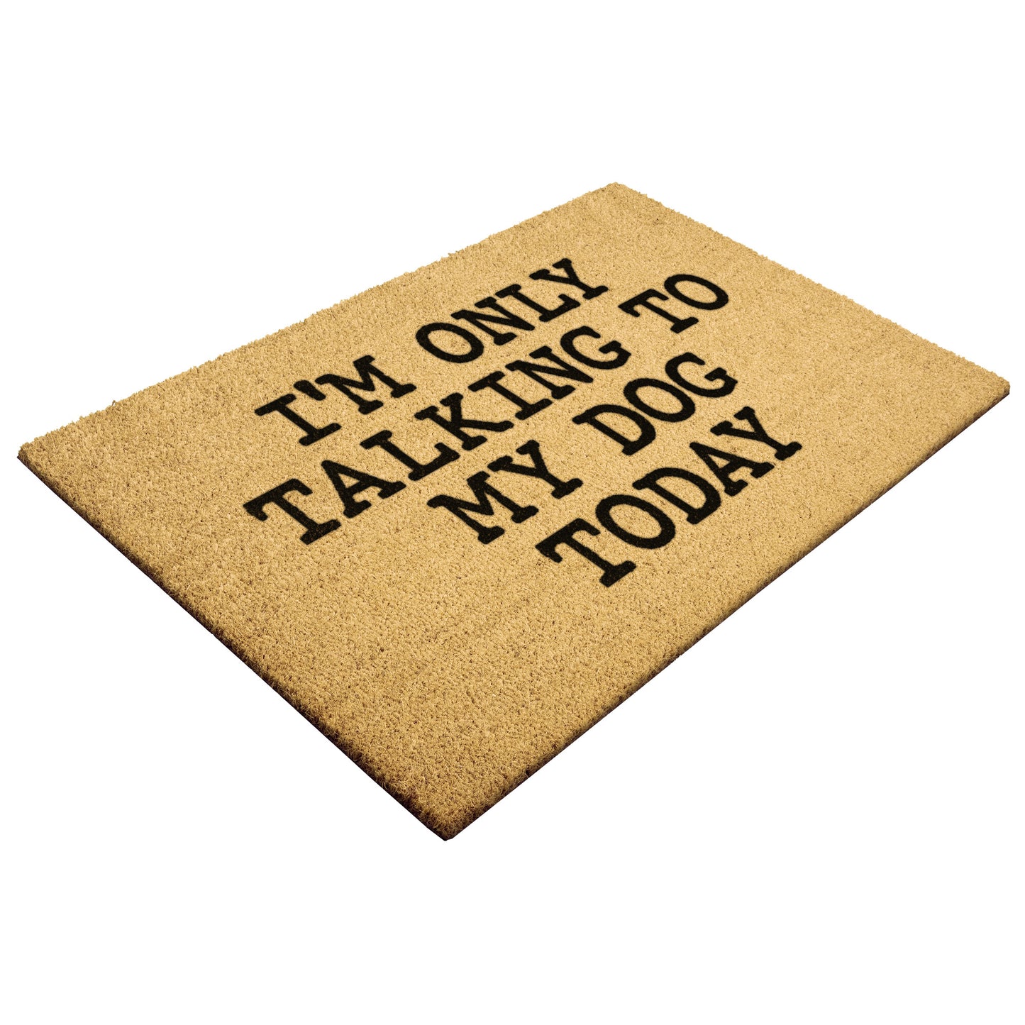 I'm Only Talking To My Dog Today Outdoor Mat
